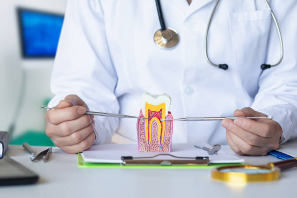 Best Knocked-Out Tooth Emergency  in Bend, OR